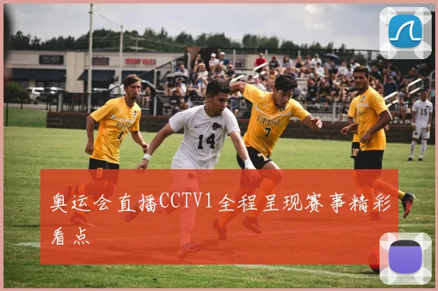 奥运会直播CCTV1全程呈现赛事精彩看点