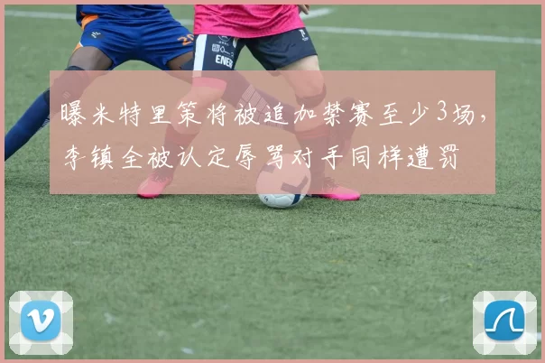 曝米特里策将被追加禁赛至少3场,李镇全被认定辱骂对手同样遭罚