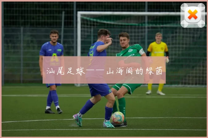汕尾足球——山海间的绿茵
