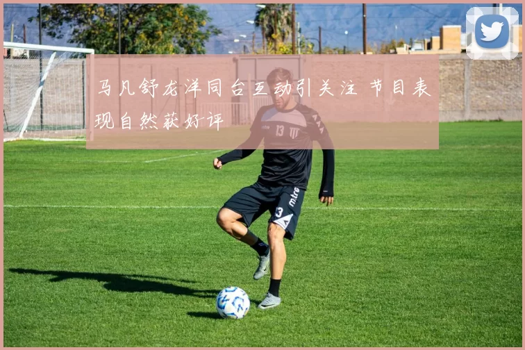 马凡舒龙洋同台互动引关注 节目表现自然获好评