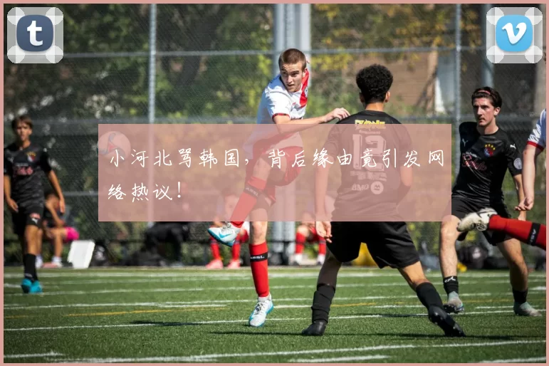 小河北骂韩国,背后缘由竟引发网络热议!